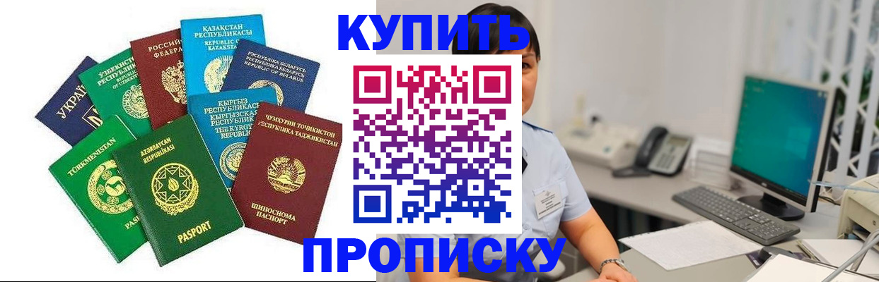 прописка в Коле